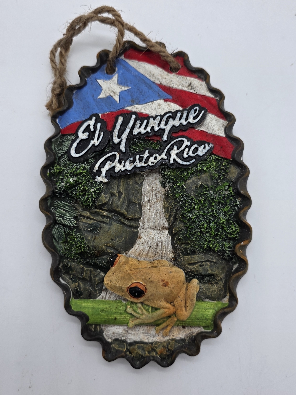 El Yunque Puerto Rico Coqui Wall Plaque